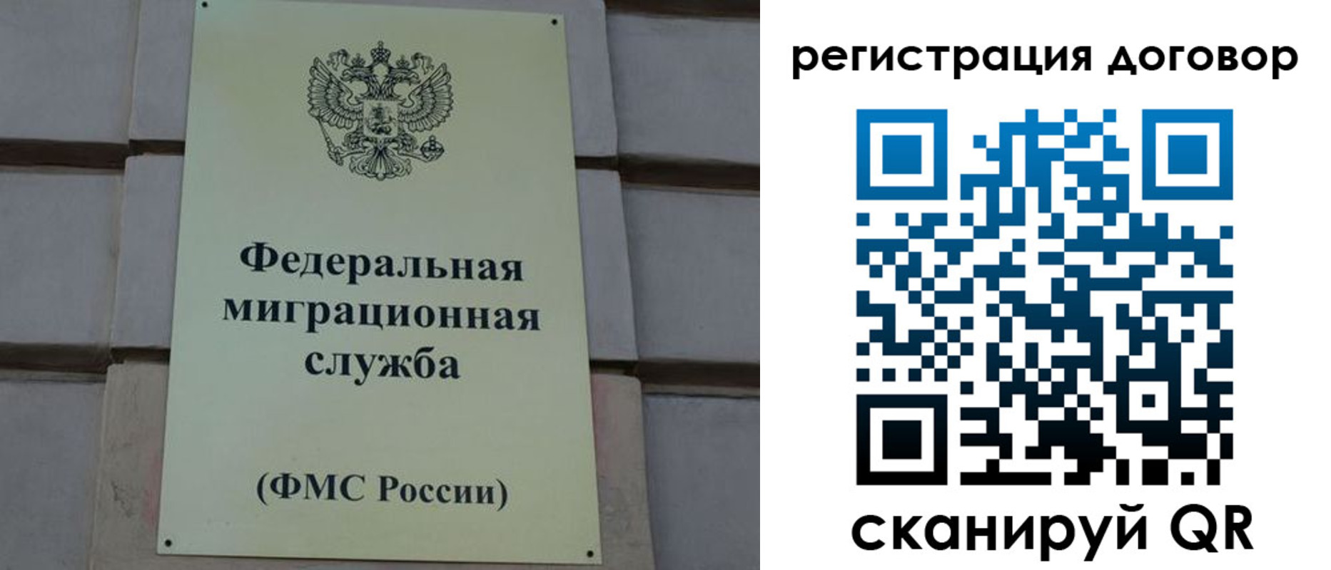 прописка в Нелидово